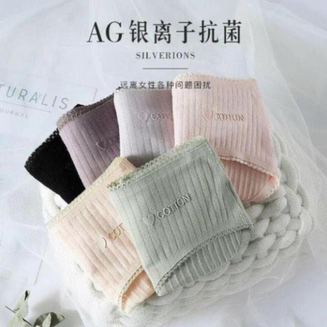 [SALE SỐC] Quần Lót Cotton Viền Ren Kháng Khuẩn Chống Viêm Nhiễm | BigBuy360 - bigbuy360.vn