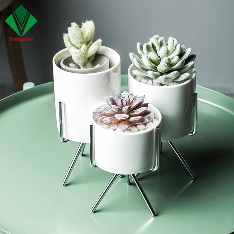 Chậu trồng cây màu trắng bằng sứ kèm chân đế bằng sắt