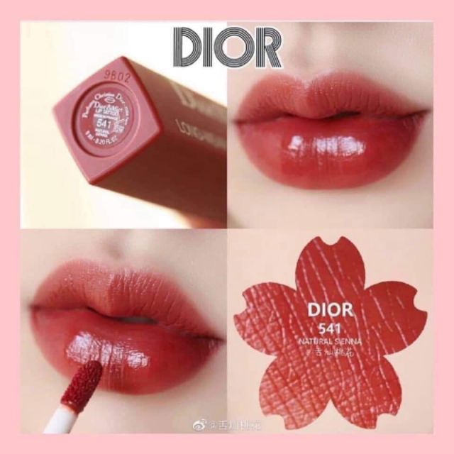 SON DIOR 541