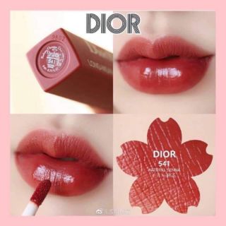SON DIOR 541