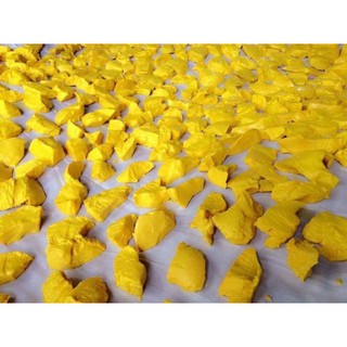TINH BỘT NGHỆ NẾP NGUYÊN CHẤT 100%( NGHỆ ĐỎ)