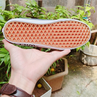 [Tặng hộp và dây giầy] Giầy OLd WILLY