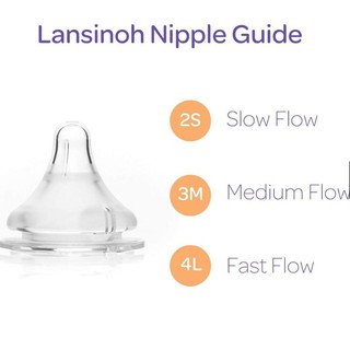 Bình sữa Lansinoh (used)