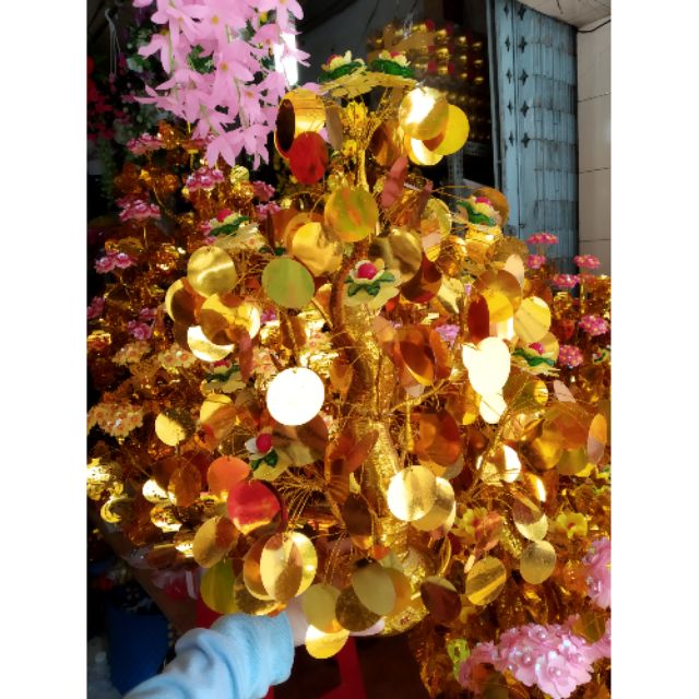 Cây cành vàng lá ngọc