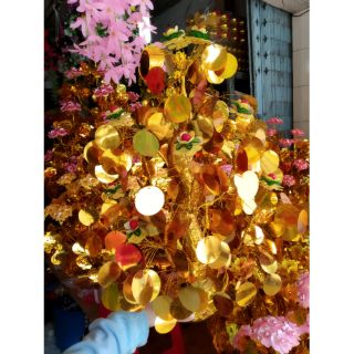 Cây cành vàng lá ngọc