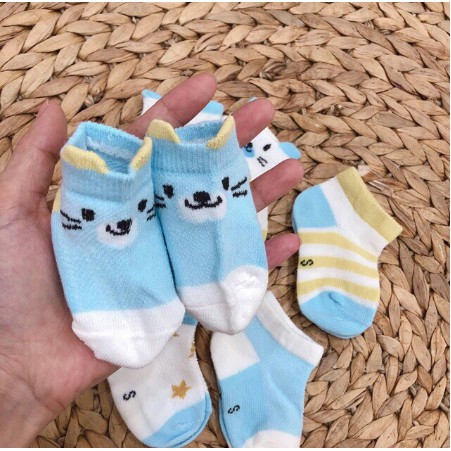 Set 5 Đôi Tất Robibabi 100% Cotton Cho Bé