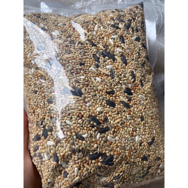 1kg Hạt trộn dành cho vẹt Lovebird, Cock