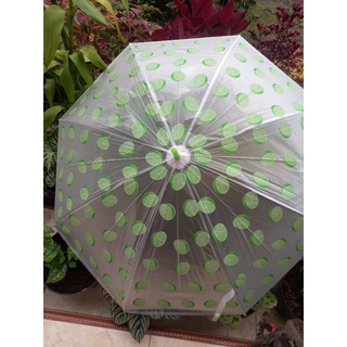 Họa Tiết Ô Pvc