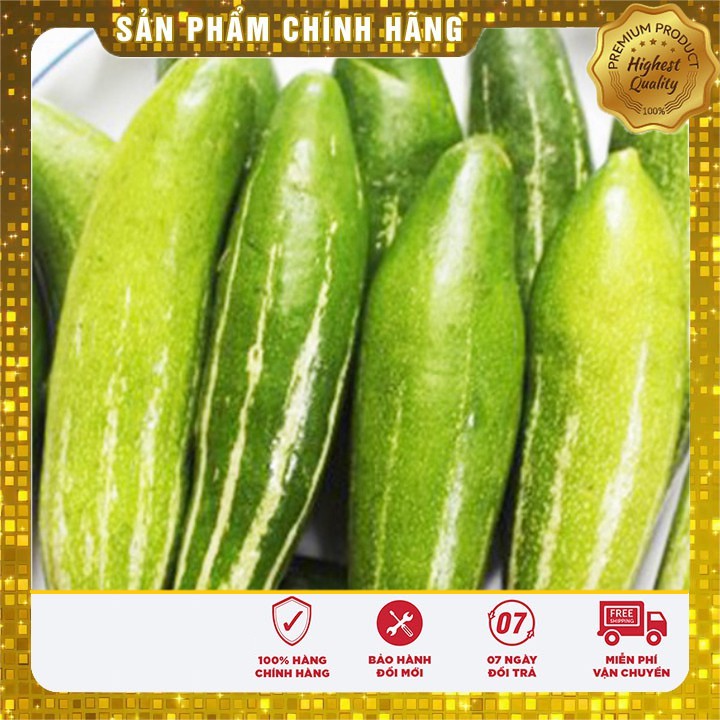 Hạt giống quả mướp Lặc Lày Mướp Nhật Ngắn gói 2 gram