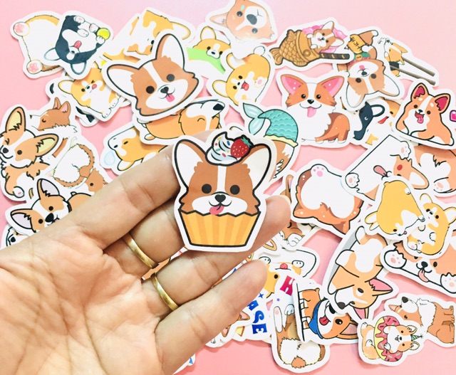 Sét 30-50 Sticker chó corgi lép lụa có đề can bóc dán