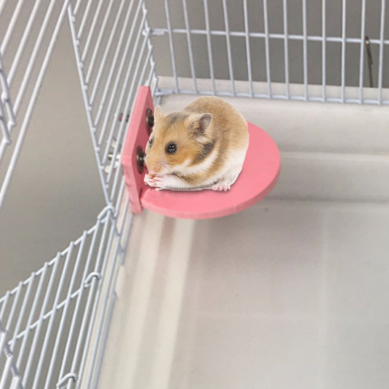 Đồ Chơi Lò Xo Cho Chuột Hamster