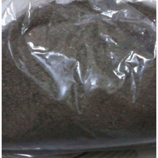 50 Hạt giống cây Ích mẫu - ( cây dược liệu )
