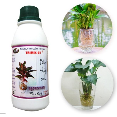 Dung Dịch Dinh Dưỡng Thủy Canh TRIMIX DT 100ml/Chai-Thân Thiện Môi Trường, Chuyên Cho Cây Kiểng