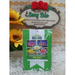 Hạt giống hoa súng mini nhiều màu rd 847 rạng đông gói 5 hạt