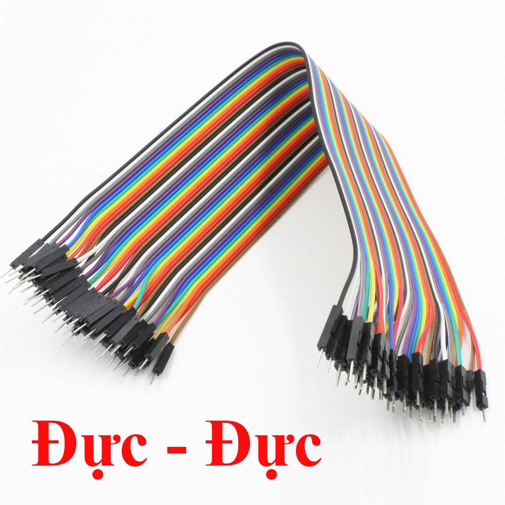 40 Dây Test Board Đực - Cái 30cm (có bán lẻ)