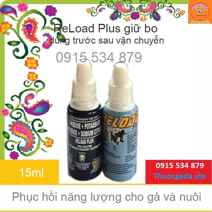 Thuốc gà đá Phục hồi năng lượng cho gà khi vận chuyển, giữ bo trước đá Reload Plus