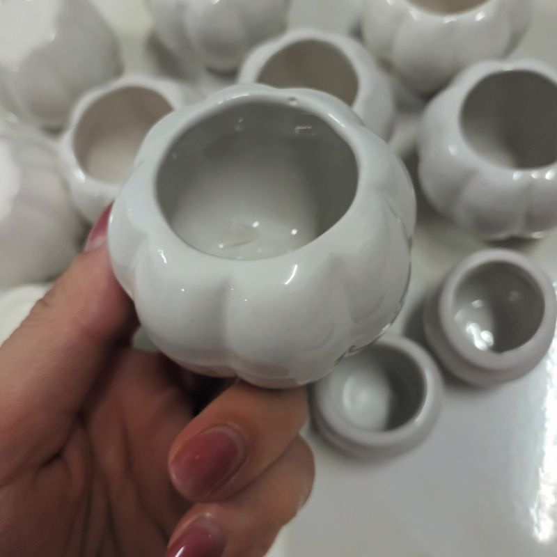 Chậu sứ trồng cây, trồng hoa, chậu sứ hình trái cà mini