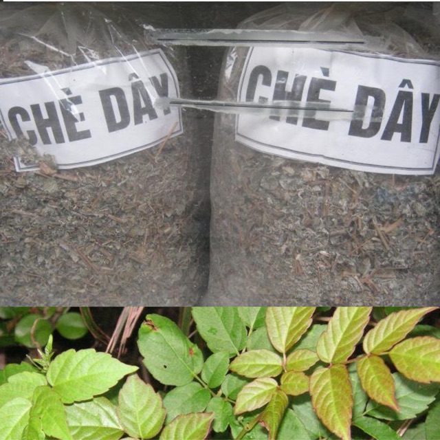 Chè dây khô túi 1kg