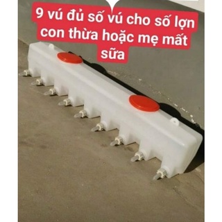 Bình bú cho heo / chó /dê...