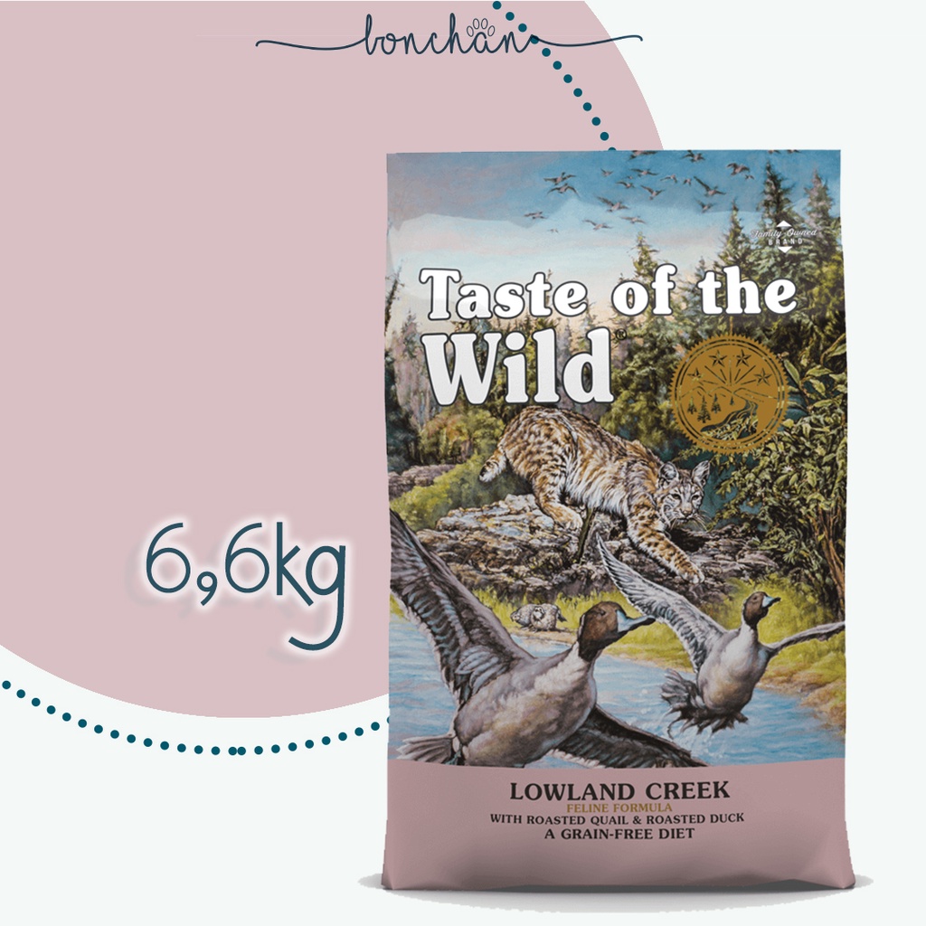 Hạt Taste of the Wild cho mèo mọi lứ tuổi