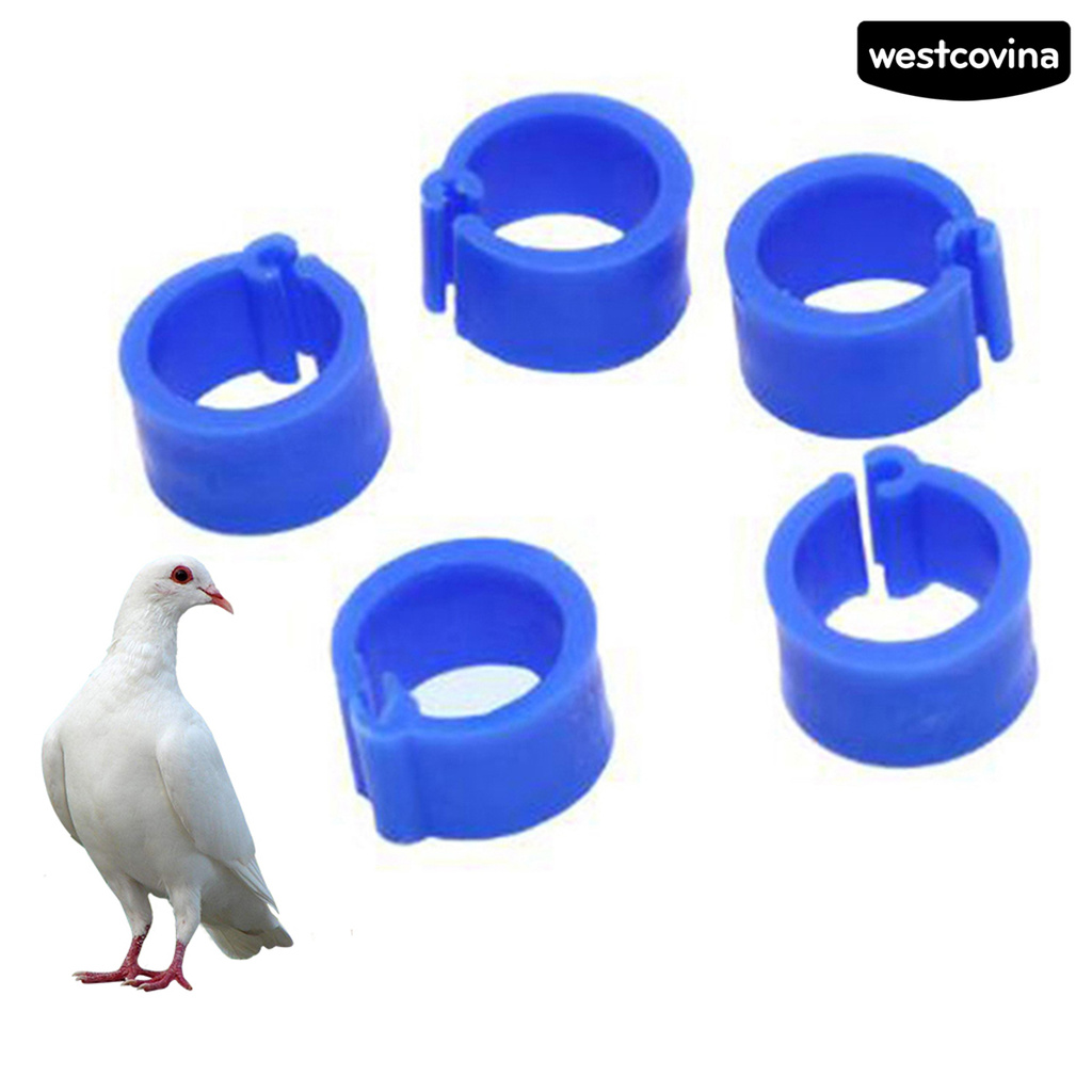 Set 100 Khuyên Đeo Chân Đánh Dấu Gia Cầm Nhiều Màu Sắc 8mm