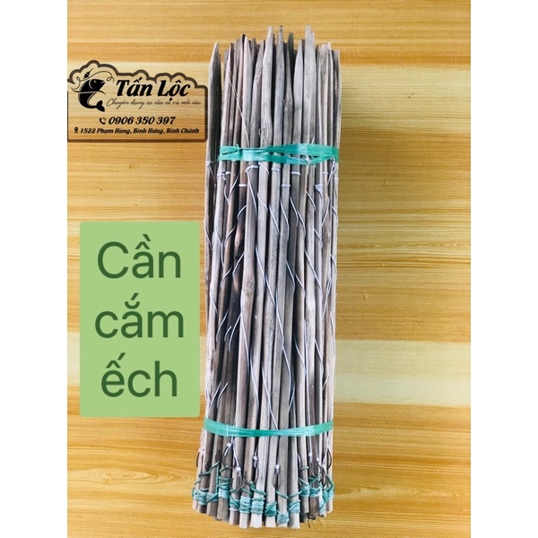 CẦN CÂU CẮM CÁ LÓC-CẦN ĐẶC-XÀI RẤT BỀN- CÂU ĐƯỢC CÁ TO