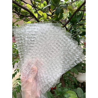 Bánh tráng tây ninh siêu mỏng
