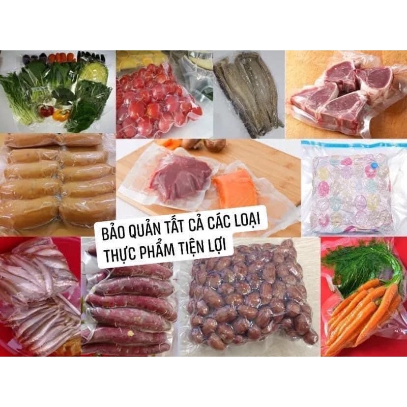 Máy hút chân không Bear FKJ- A01F1. HÀNG CÓ SẴN/CHÍNH HÃNG BH 18 THÁNG