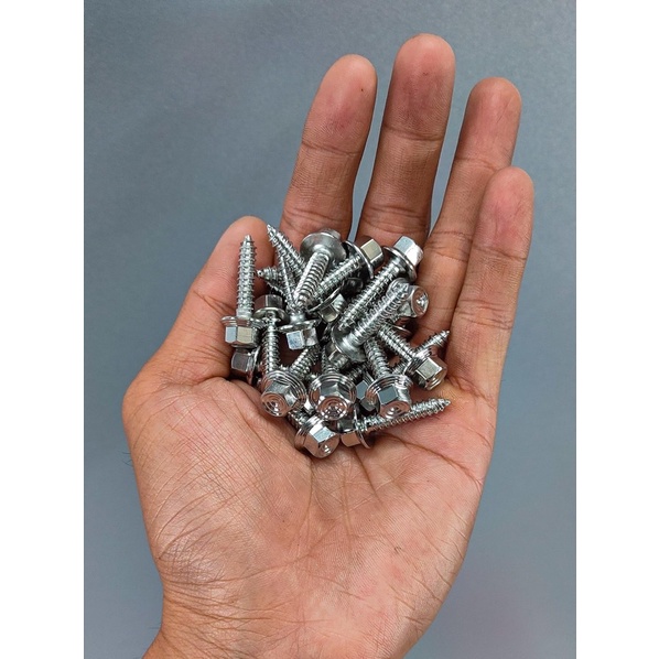 Ốc Salaya Mẫu thái đầu cao Xoắn Ya , pô e Vario