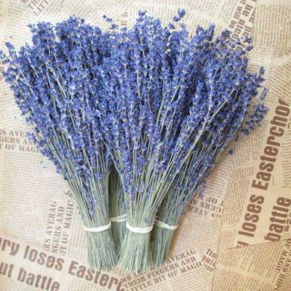 Hoa khô lavender