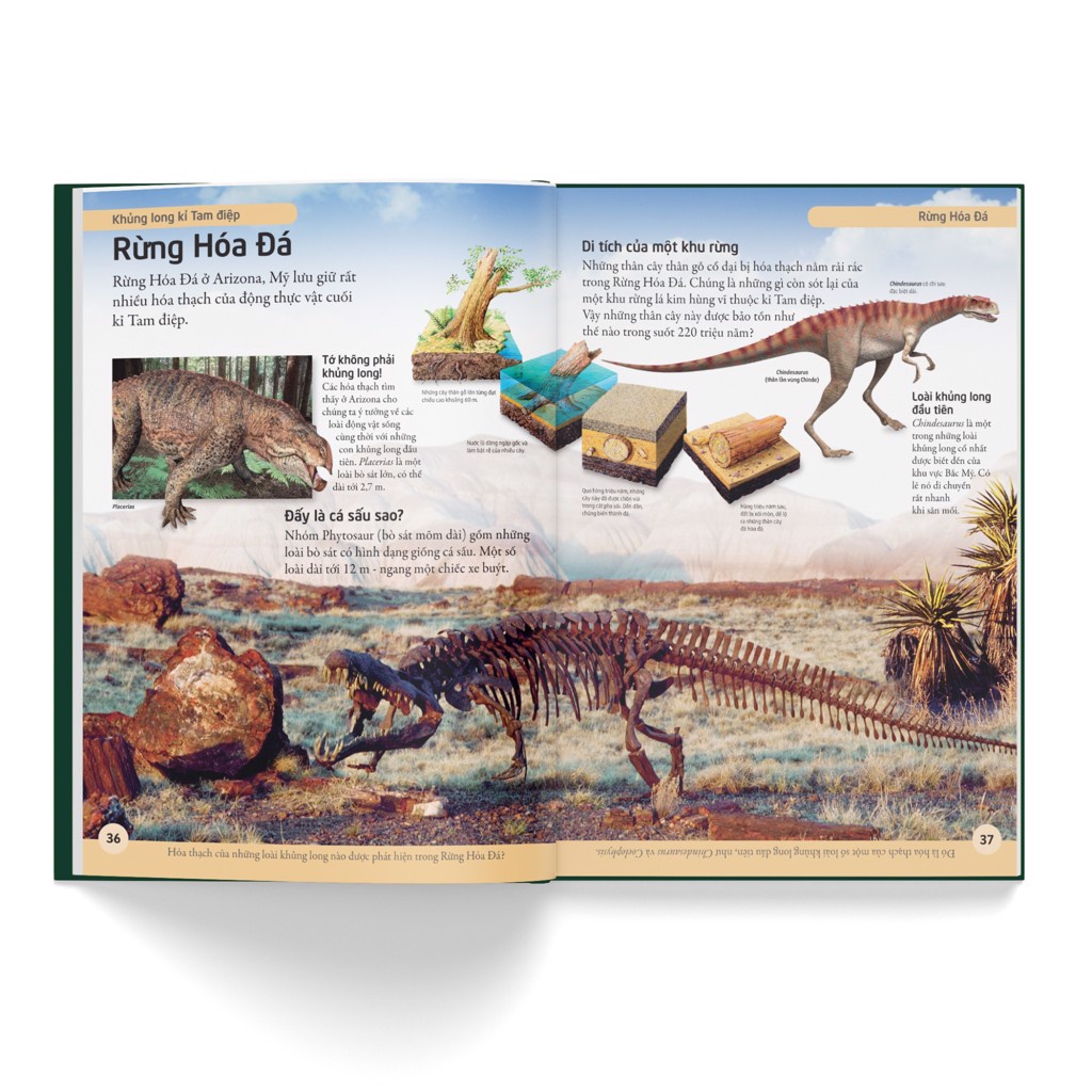 Sách - Bách khoa cho trẻ em – Bách khoa khủng long - Bìa cứng - Đông A - DAB