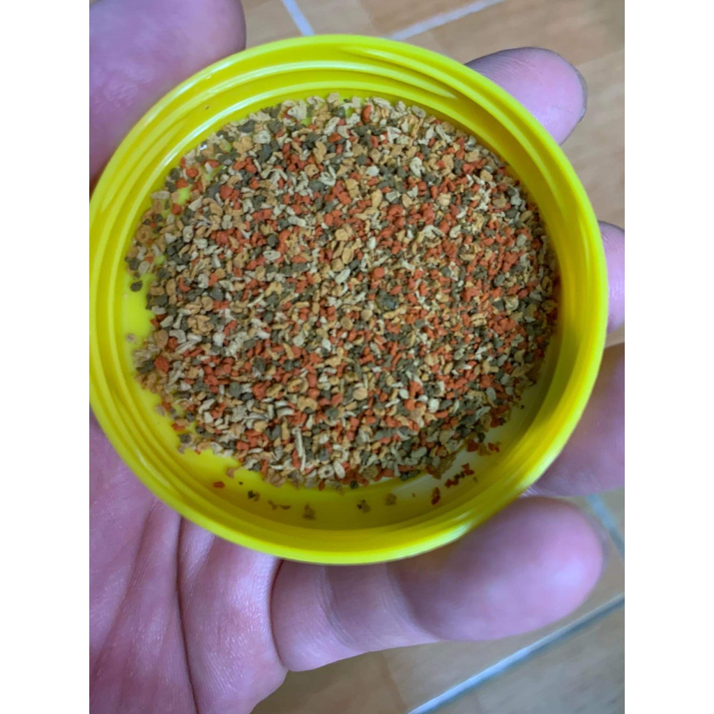 Thức ăn Tetra color - tetra Pro - tetra min  - cám tetra cao cấp - cho cá nhiệt đới - đĩa - các cá thủy sinh
