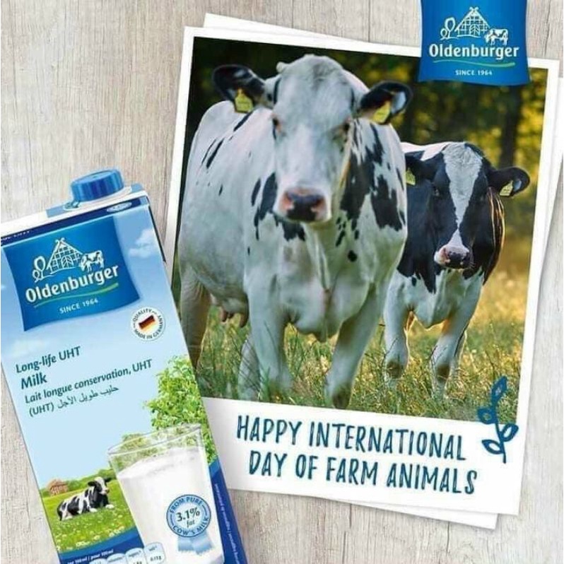 Thùng 12h sữa tươi nguyên kem Oldenburger Đức date mới