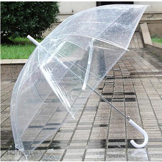 Ô ( dù ) trong suốt thời trang phong cách Hàn (màu trắng) mẫu mới nhất 2020