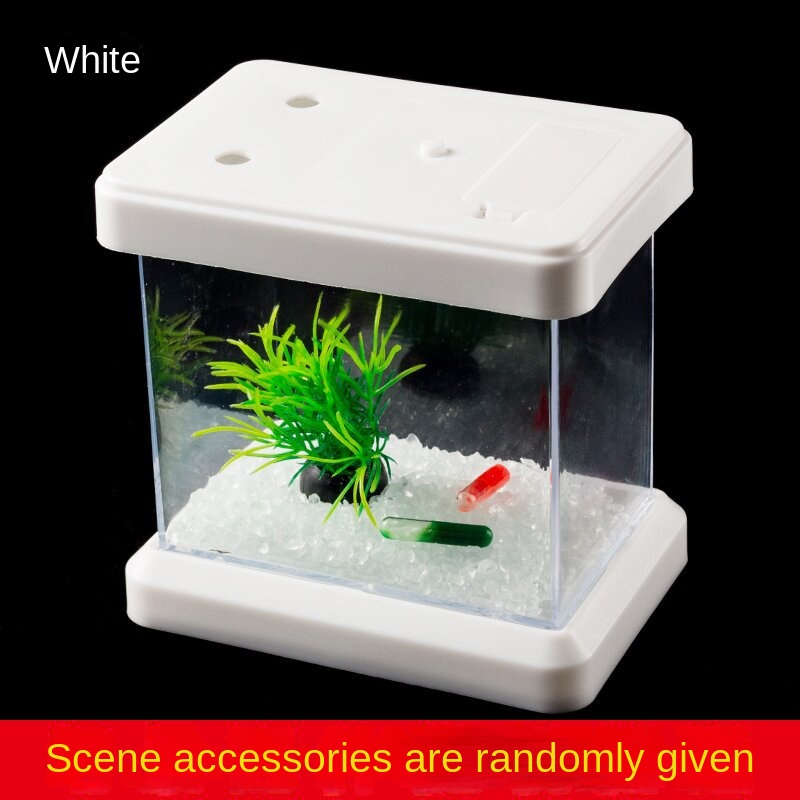 Bị những sắc màu sáng tạo ánh sáng DouYu cái bể cá có thể ngắm nhìn ZaoJing màn hình ở CaXie hộp loompa kìa