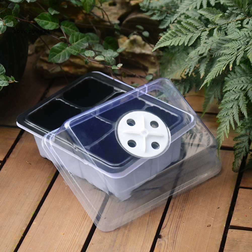 Khay Gieo Hạt Trồng Cây 6 / 12 Lỗ