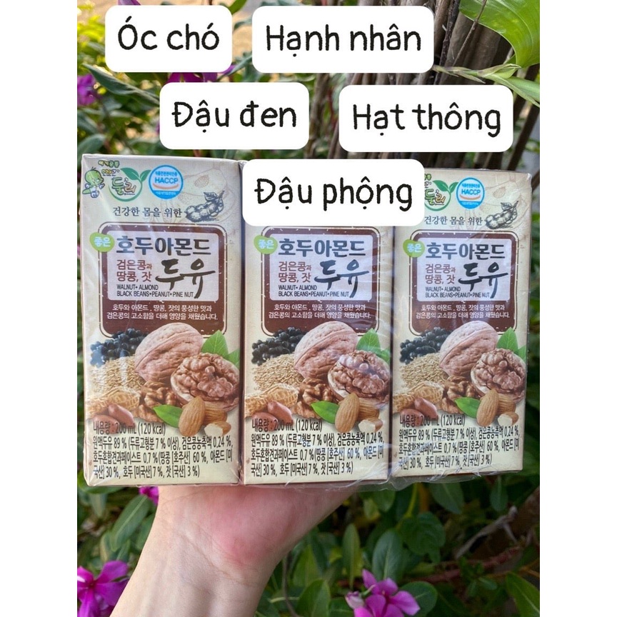 SỮA 5 LOẠI HẠT MIX HÀN QUỐC - Thùng 24 hộp 200ml - Thế Giới Nông Sản