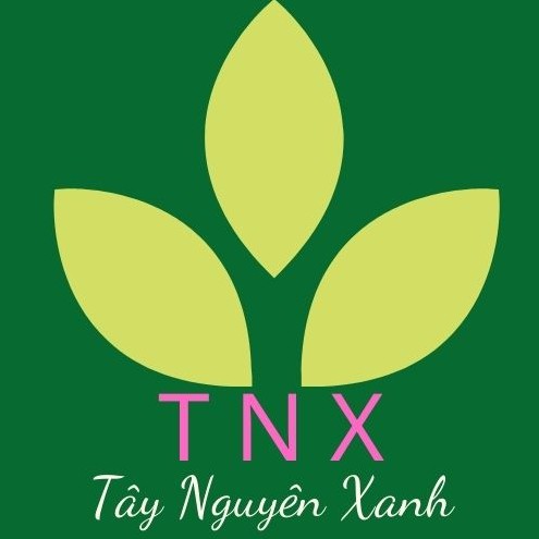 Đặc sản Tây Nguyên (Xanh), Cửa hàng trực tuyến | BigBuy360 - bigbuy360.vn
