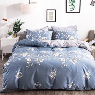 Bộ chăn ga cotton 6s