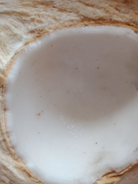 Mứt dừa non sữa tươi lá dứa. GIÁ 75k/  500g | BigBuy360 - bigbuy360.vn