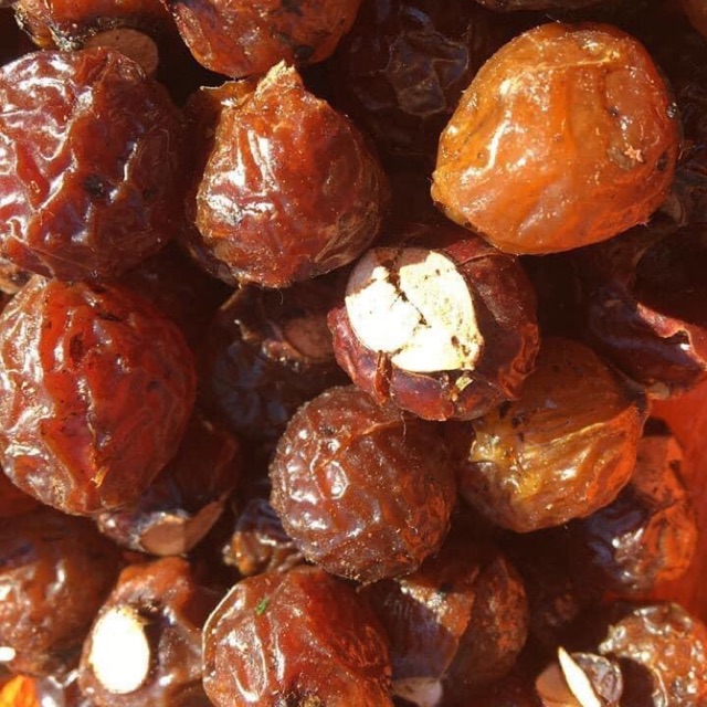 Bồ hòn loại 1 dày cùi giàu saponin