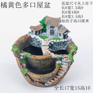 Chậu cây cảnh độc đáo