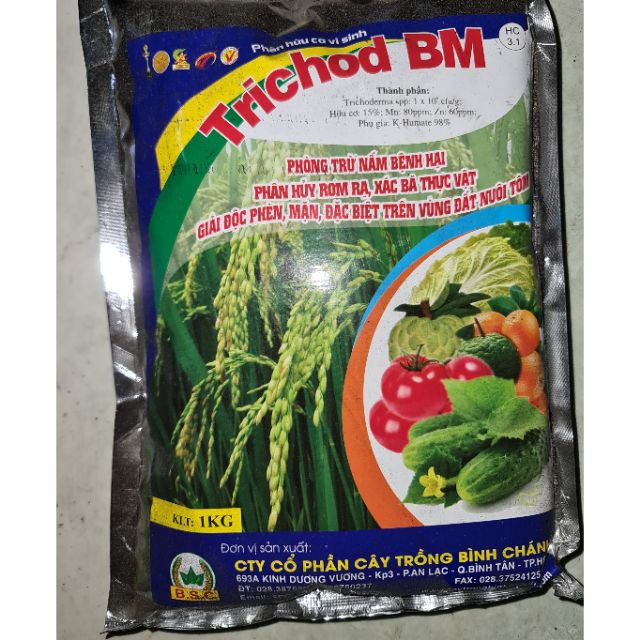 Nấm Đối Kháng TRICODERMA