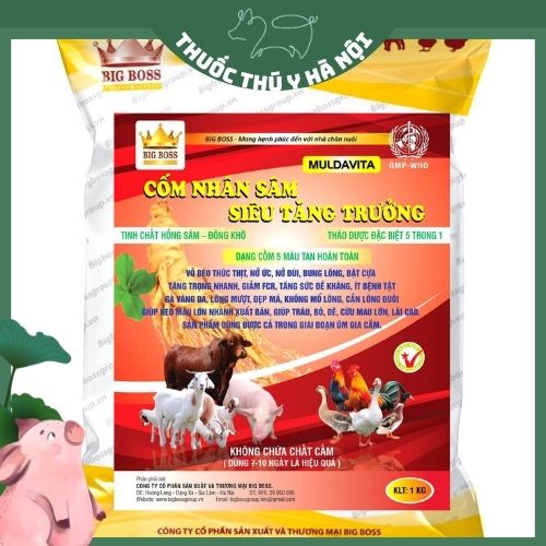 Cốm Nhân Sâm Siêu Tăng Trưởng Giúp Vật Nuôi Bạn Phát Triển Mạnh Mẽ, Tăng Khả Năng Hấp Thụ Thức Ăn