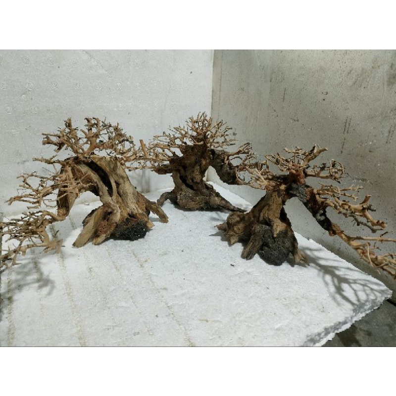 Lũa Bonsai hồ cá thủy sinh, lũa cấy rêu, rấy, lũa 3D