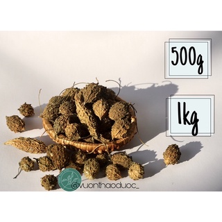 [500G-1KG] MƯỚP ĐẮNG (KHỔ QUA) RỪNG SẤY KHÔ