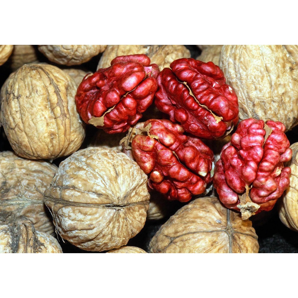 Nhân Óc Chó Đỏ Tiệm Phố Núi 500g, Tốt Cho Mẹ Bầu