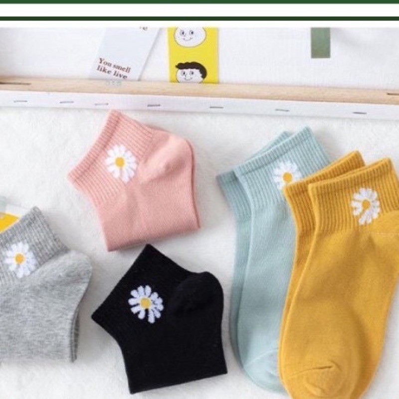 Tất hoa cúc Vớ hoa cúc họa tiết hot trend xinh cực- set 10 đôi
