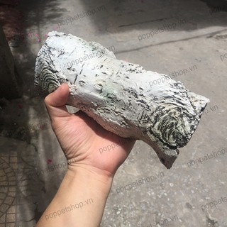 Hang Trú giả gỗ