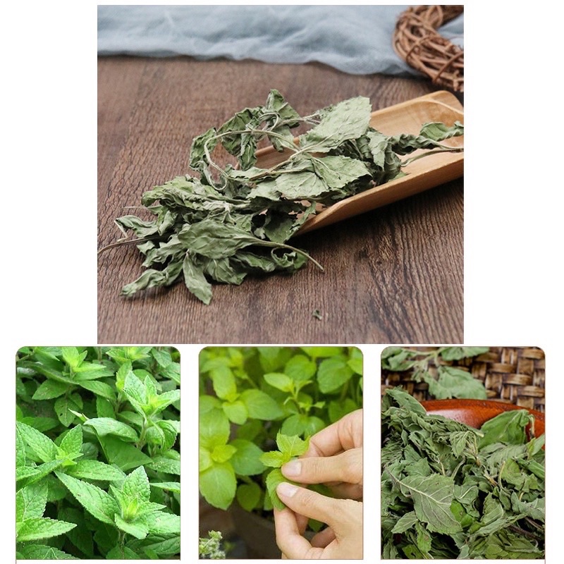 Trà lá bạc hà sấy lạnh loại 1 - giải cảm, giảm cân, kích thích tiêu hoá, thơm miệng | Bột Natural